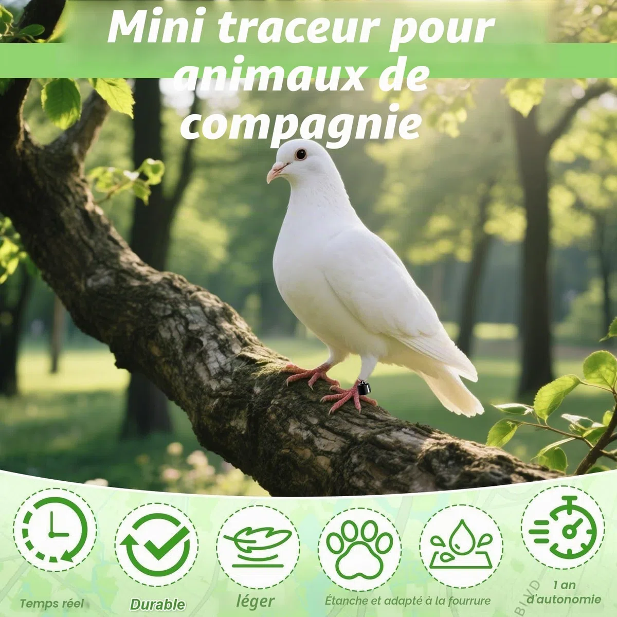 Traqueur de chien et chat avec colliers, traqueur intelligent pour chats sans frais mensuels, pas de SIM nécessaire, compatible avec iOS/Android, dispositif de suivi mondial pour tous les chats et