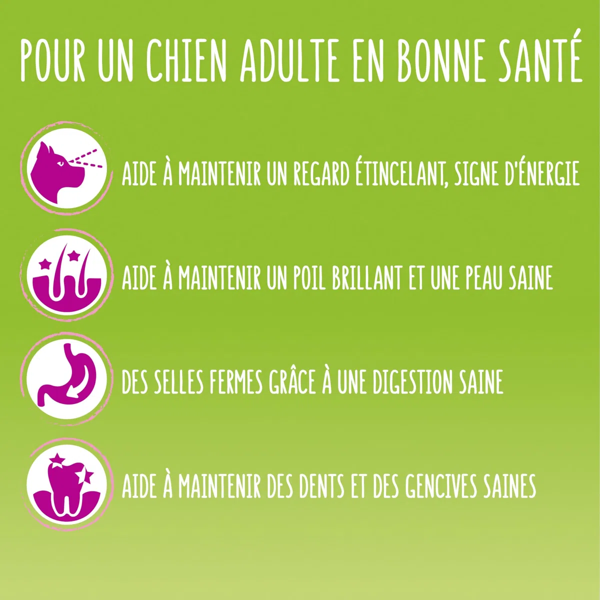 FRISKIES | Maxi | Chien | Croquettes pour Chiens Adultes de Grande Taille | au Boeuf | Source de protéines de Haute qualité | Sac | 12 KG