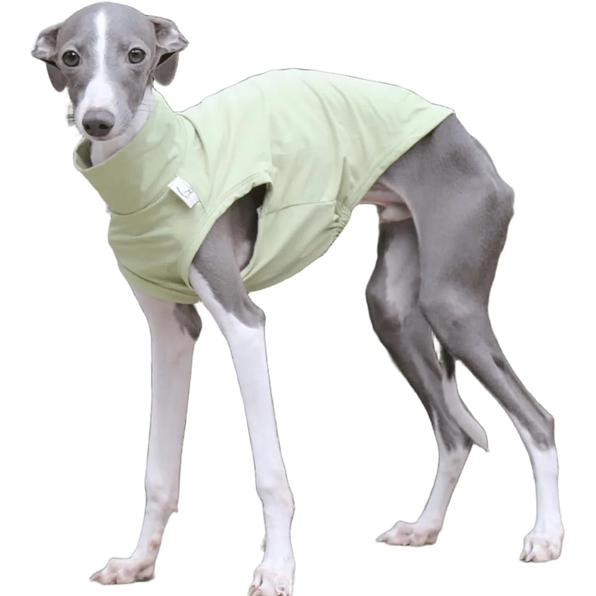T-Shirt Lévrier Italien pour Chiens De Petite Et Moyenne Taille, Gilet D'été Léger Et Frais, Vêtements Whippet, Chemises Respirantes pour Animaux De Compagnie, Vêtements D'extérieur(Green,S)