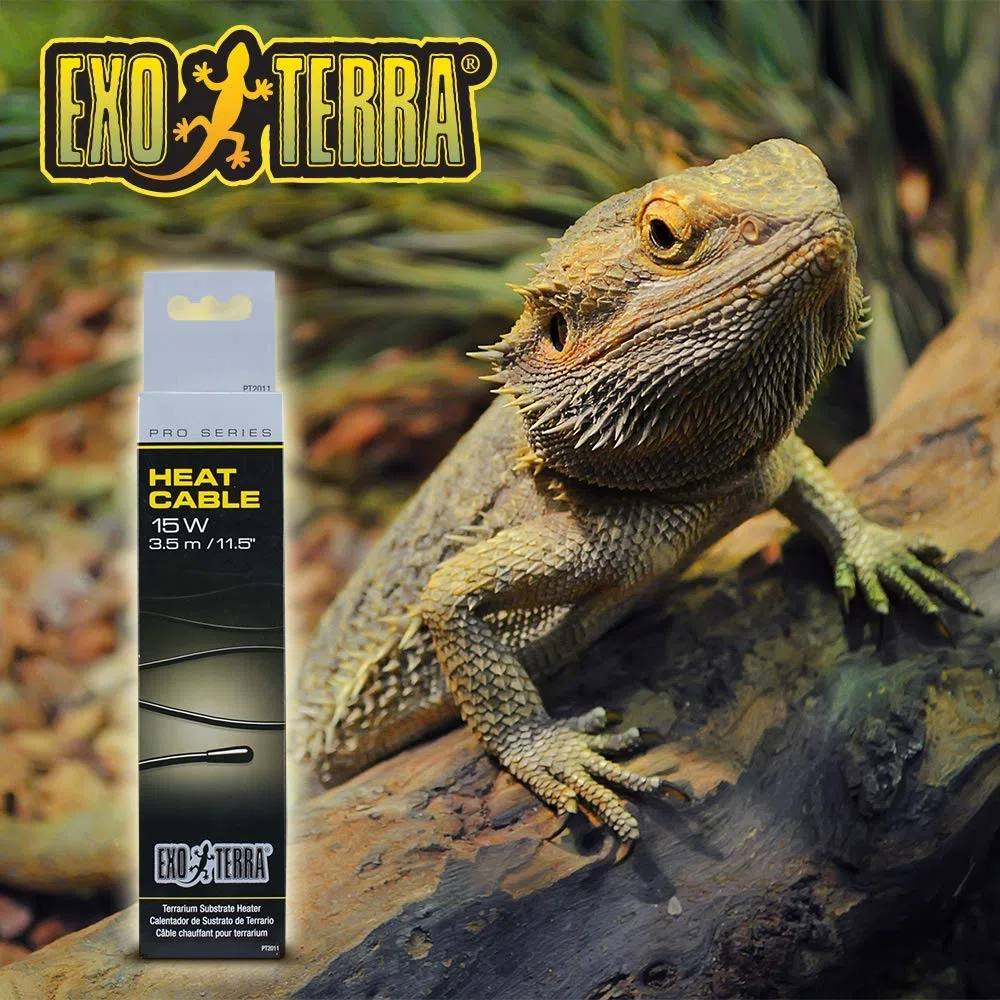 Exoterra Câble Chauffant pour Reptiles et Amphibiens 15 W