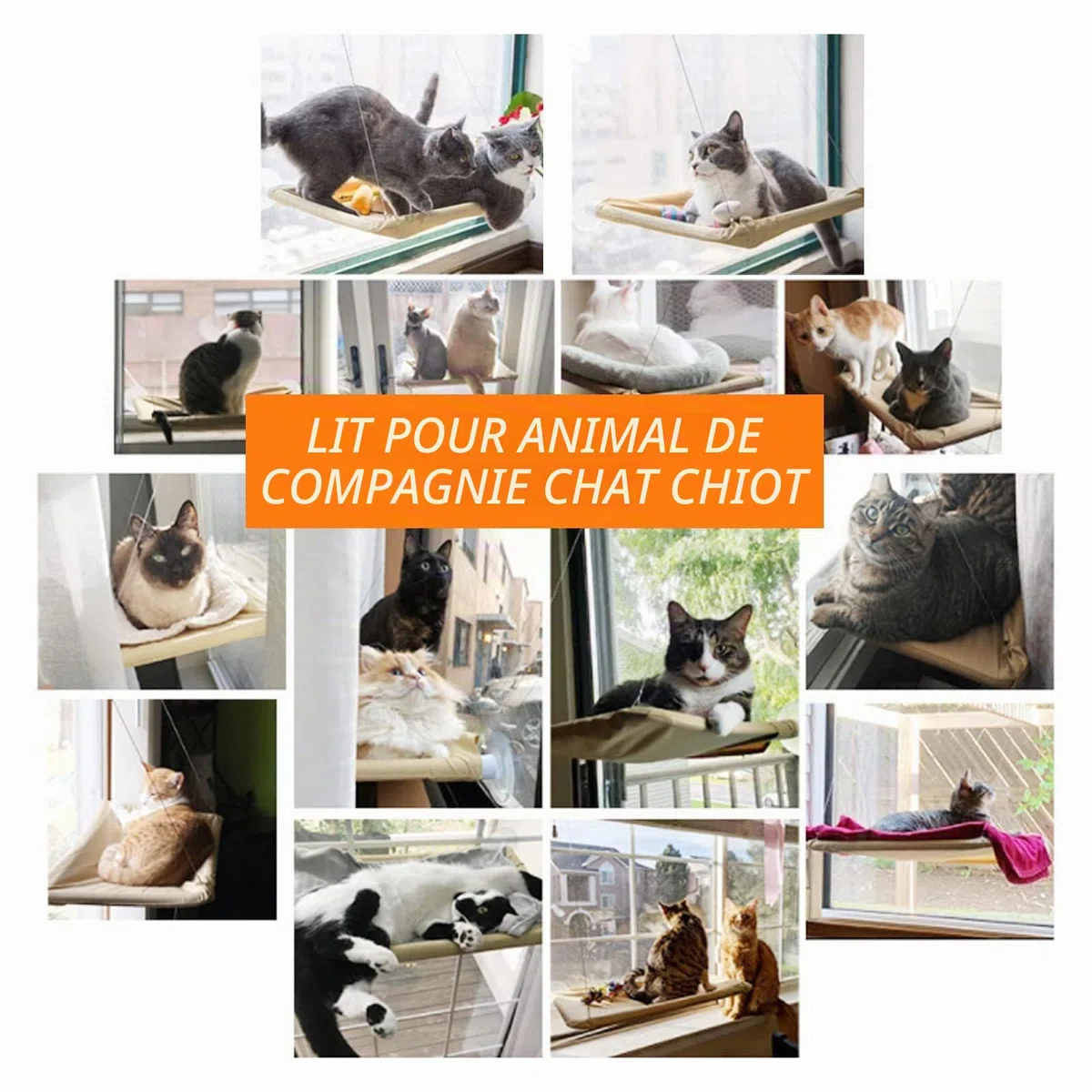 Cirulli Hamac Chat pour Fenêtre - Grande Étagère Murale, Fauteuil Inclinable Jusqu'à 25 kg, Lit Super Stable pour Bronzer, 54x30CM