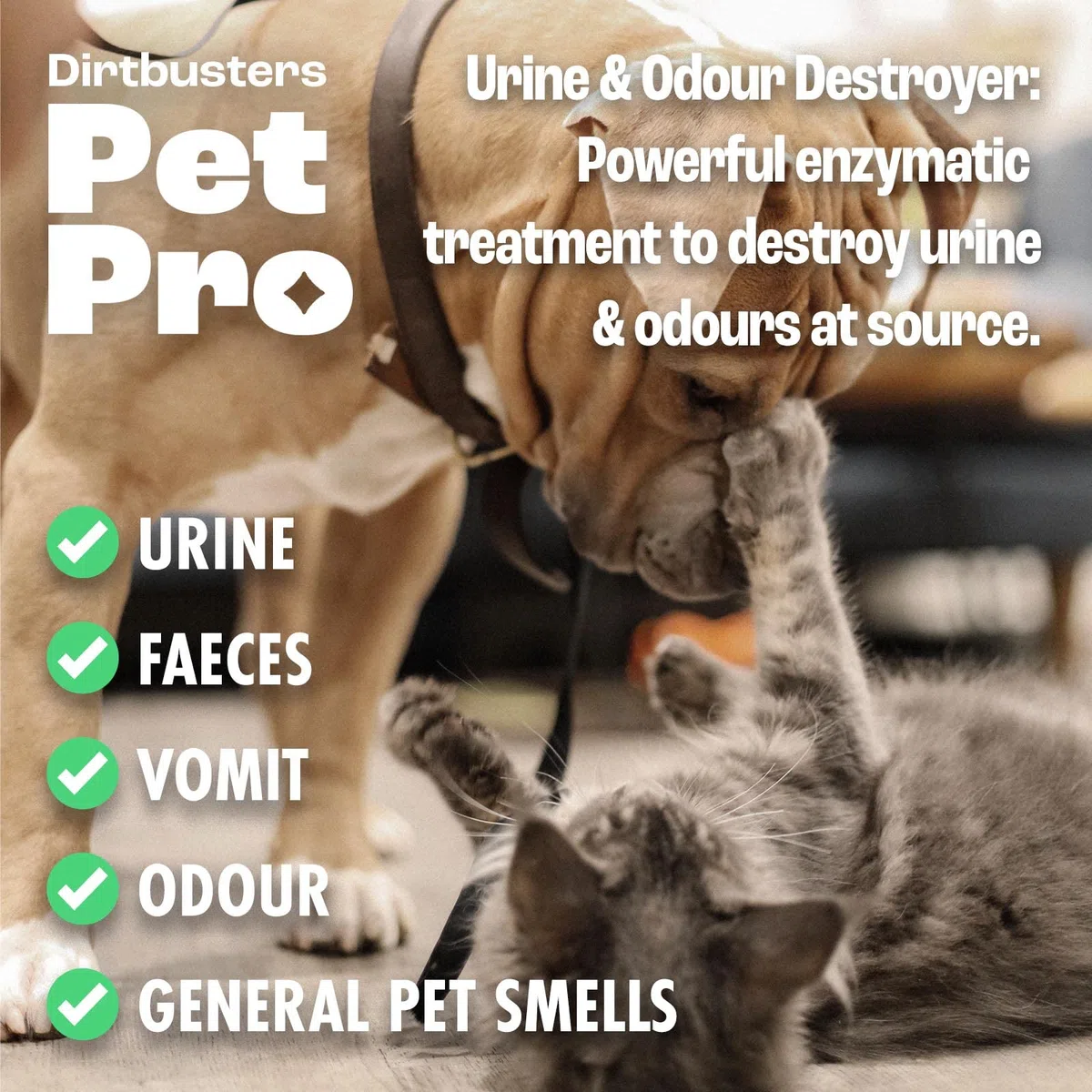 Dirtbusters Pet Pro Nettoyant enzymatique pour tapis et tissus d'ameublement Neautralise et élimine les odeurs d'animaux domestiques, chiens et chats à la source, avec traitement enzymatique