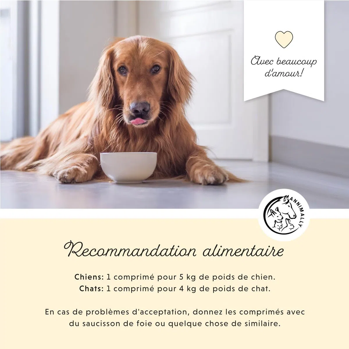 Vitamine B Complex 120 comprimés pour Chien et Chat : Vitamine B1, B2, B3, B5, B6, B9, B12 - Vitamines et compléments pour Chiens et Chats - Vitamine pour Chien - Vitamine Chat