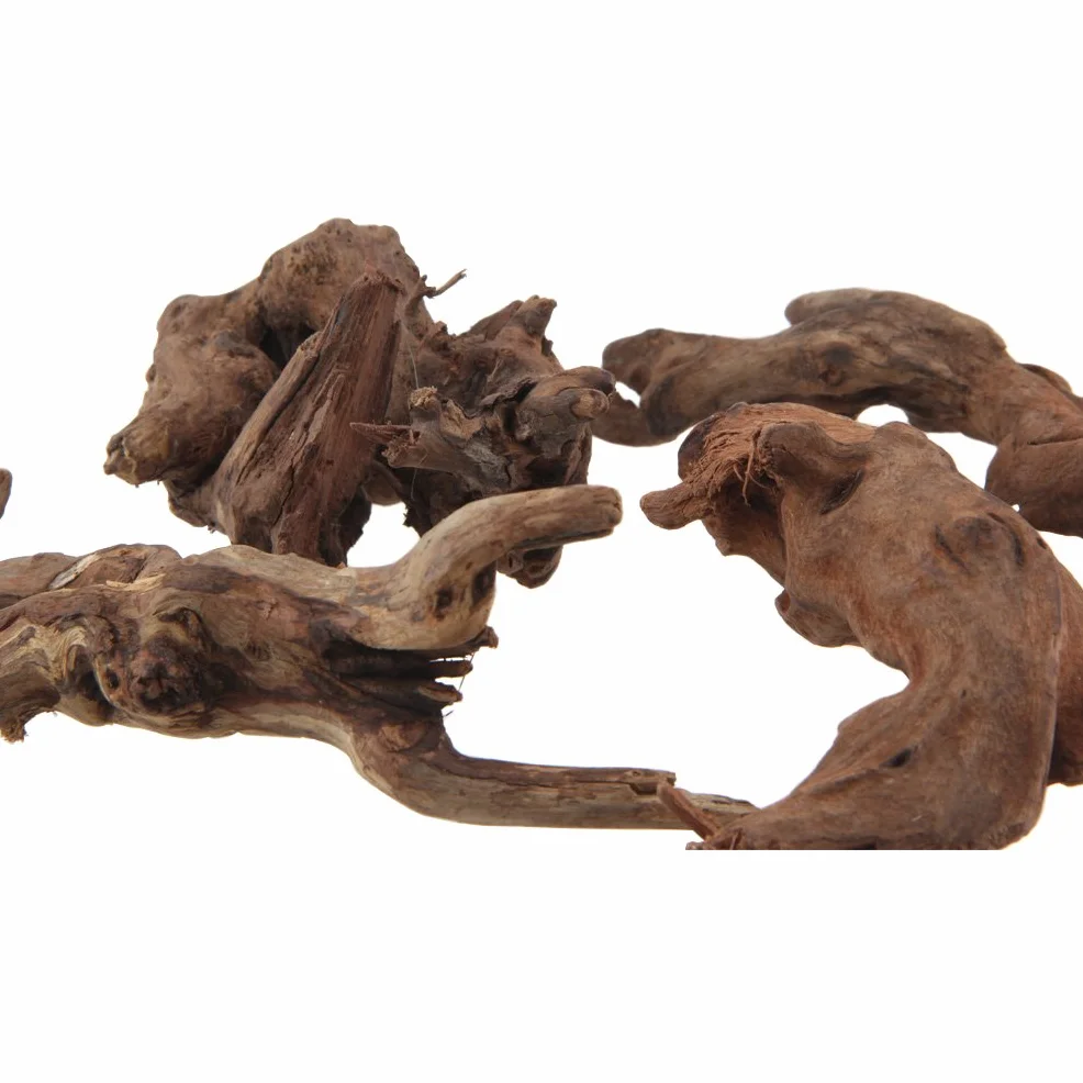 Emours Branches de bois flotté naturel pour décoration de vivarium taille assortie 4 pièces
