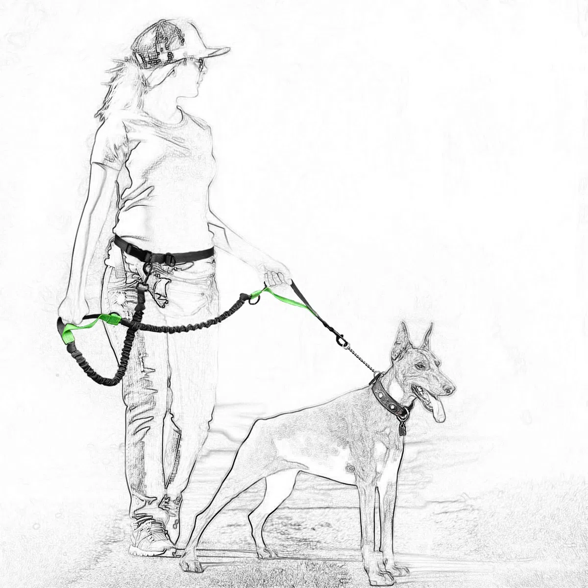 Mile High Life | Laisse Rétractable Mains Libres 2m pour Chien 50 Kg | Réfléchissante | pour Petit, Moyen Et Grand Chien | (Marrone)