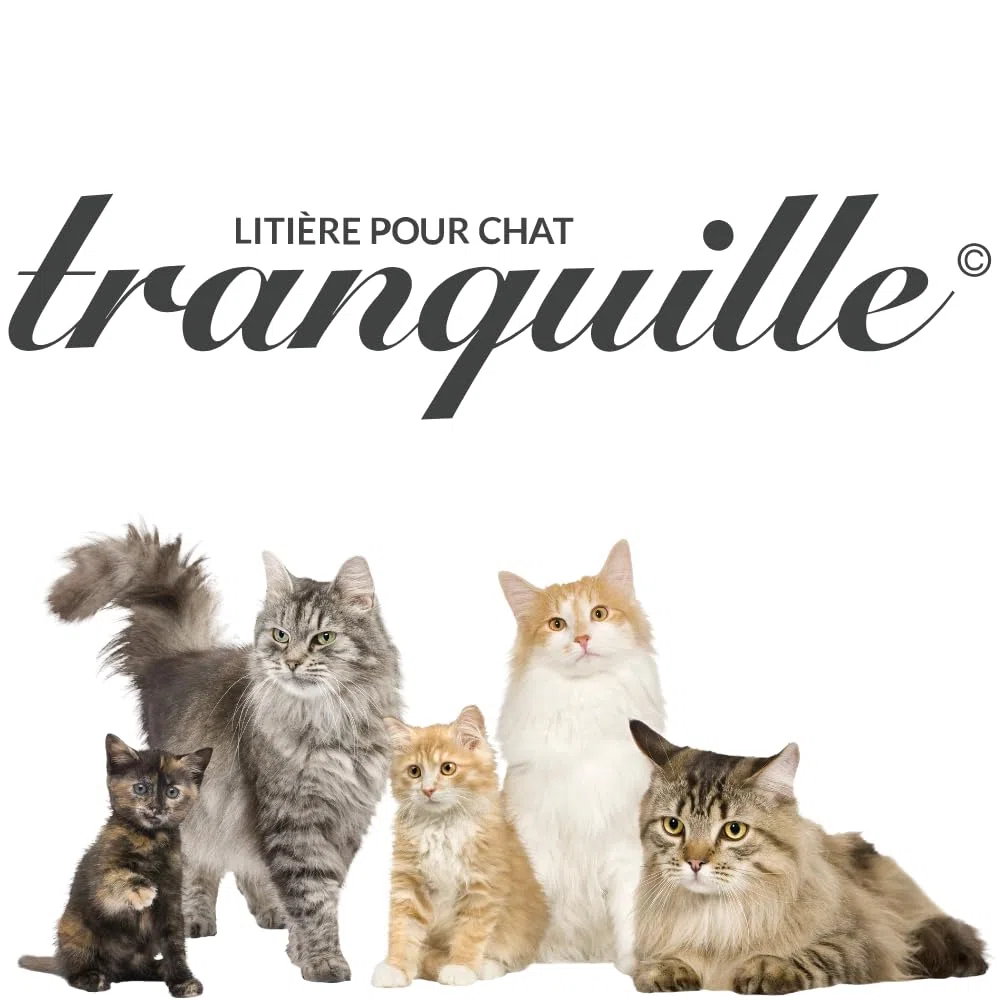 Tranquille La Carbonite Chats Stérilisés - 6,1 litres - Lot de 3