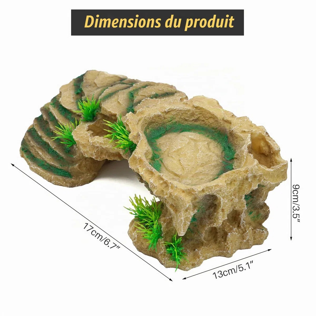Plateforme de tortue en résine pour reptiles avec rampe d'escalade pour reptiles et grenouilles