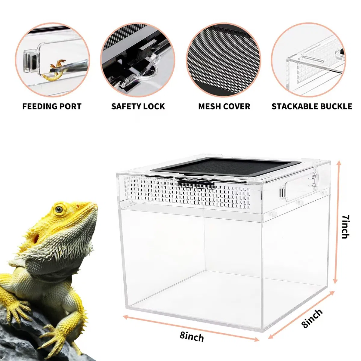 Reptile Growth PC Terrarium Reptile, 8" x 8"x 7" PC terrariums avec Vue complète visuellement Attrayante, Vivarium pour Léopard Gecko Barbu Dragon Lézard Escargot Tarentule Serpent Tortue
