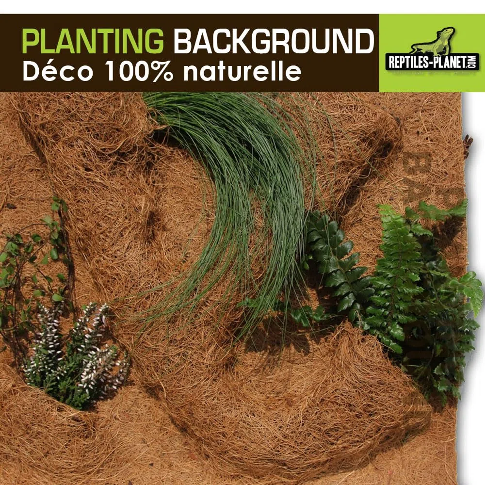 Reptile Planet - Planting Background - Décor en Fibre de Coco pour Terrarium - 20 x 30 cm