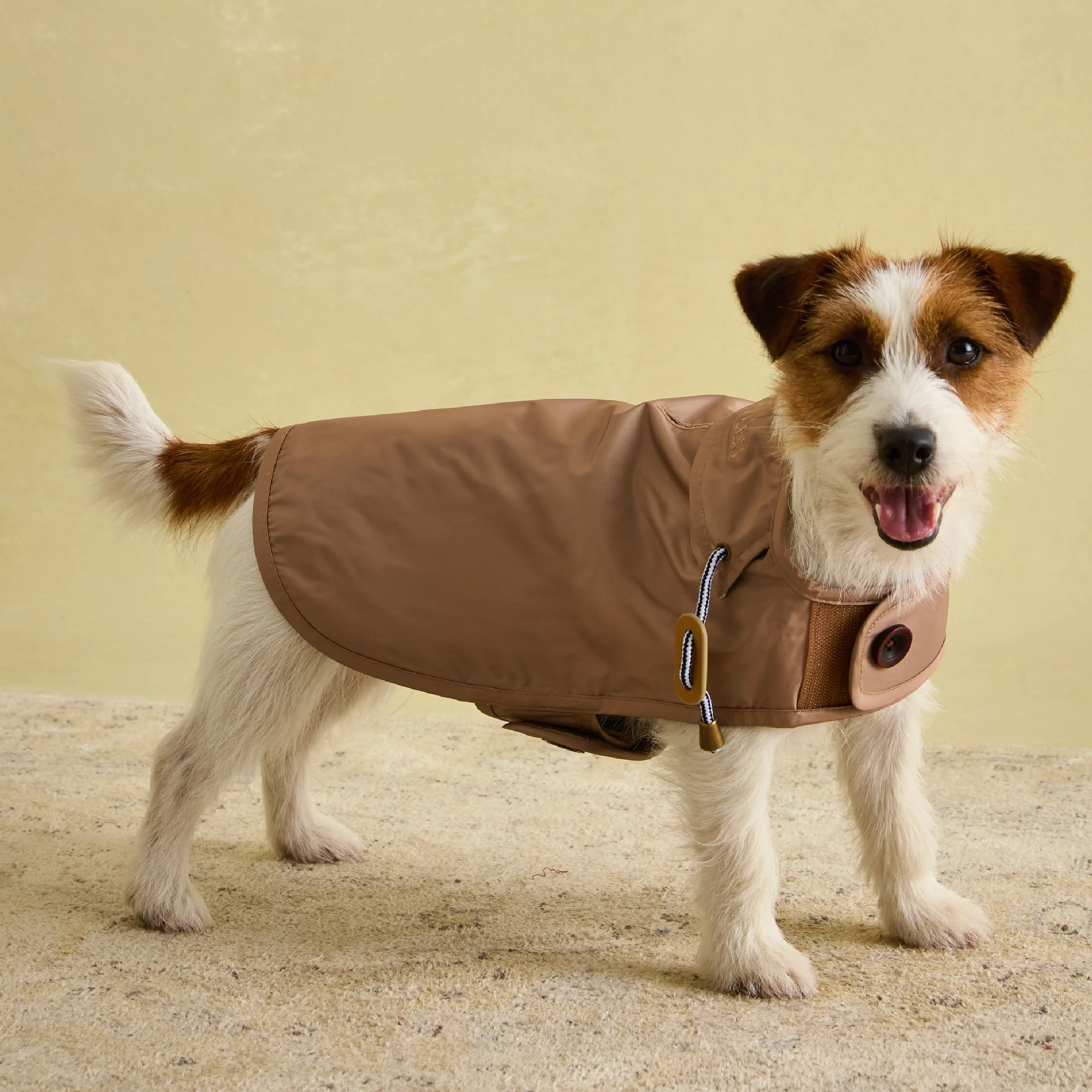 Rosewood X Joules Burra Imperméable pour Petit Chien Lavable Léger Imperméable Marron Taille S