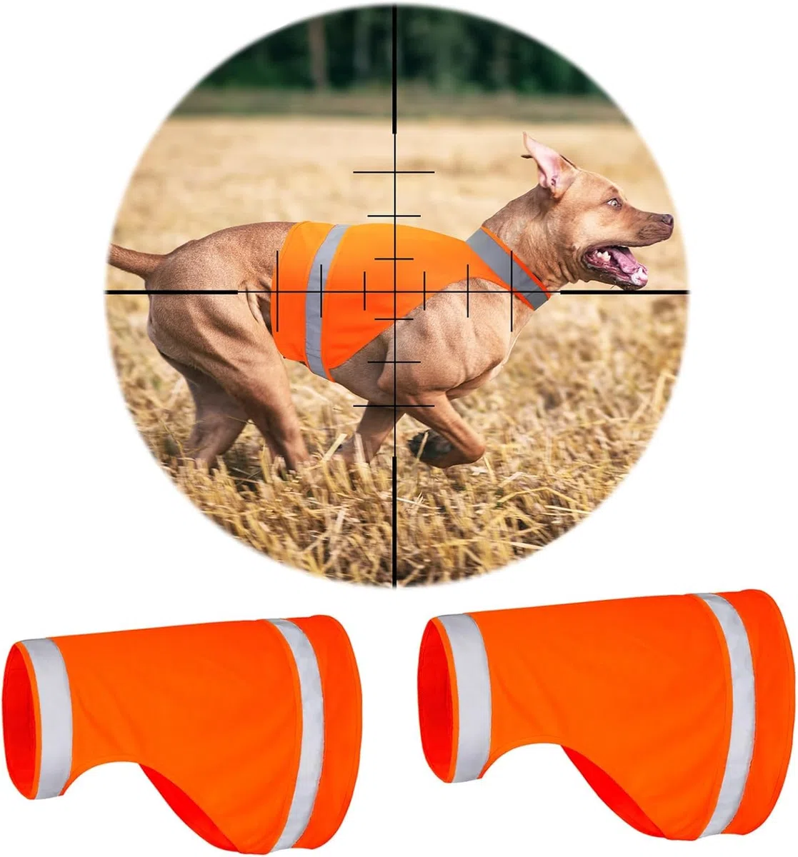 Lot de 2 Gilets Réfléchissants pour Chien - Sécurité pour la Chasse et Promenades Nocturnes - Taille L