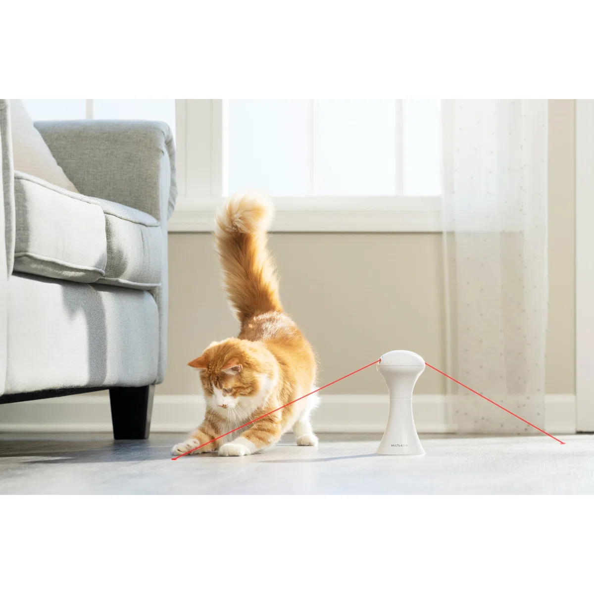 PetSafe Jouet Multi-Lumières pour Chats - 0,34 kg