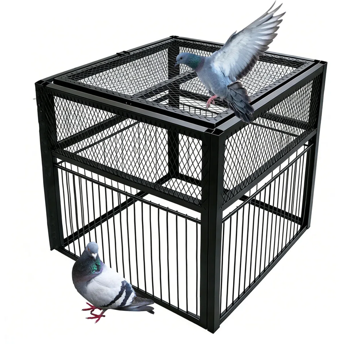 Piège à Pigeon, Pigeon Trap avec entrée Unique Porte en U, Cage à Oiseaux en métal pour Extérieur Jardin (Size:56x52x40cm,Color:Noir)