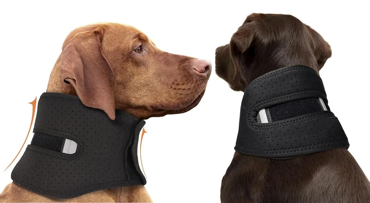Cou pour Animaux de Compagnie Soutien Le Collier est utilisé pour soulager la Douleur chez Les Chiens,Chien Chat Anti Lechage Collier,Aide à la récupération des blessures au Cou(XL)