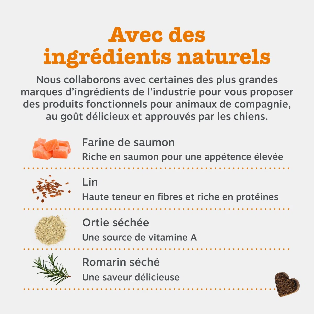 Zesty Paws Bouchées Aller-Immune Chien | Soutien Immunitaire, Soin de la Peau | Peau Sèche et Démangeaisons | Huile de Saumon, Postbiotiques, Probiotiques| Usage Quotidien | 90 Bouchées