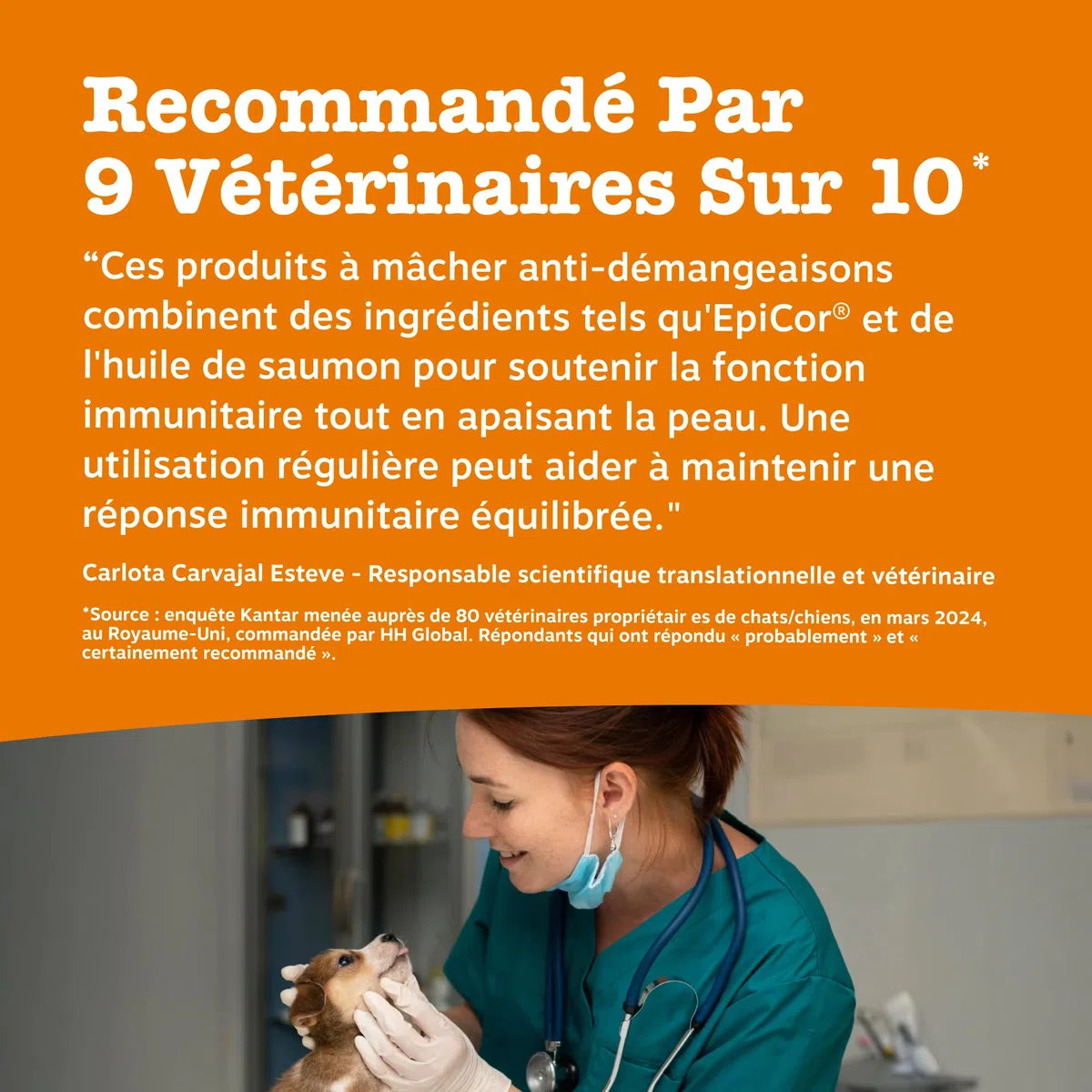 Zesty Paws Bouchées Anti-Démangeaisons pour Chien | Apaise Peau, Pattes & Oreilles Irritées | Soutient Immunité, Digestion et Peau | Avec Huile de Saumon & Probiotiques | Usage Quotidien | 90 Bouchées