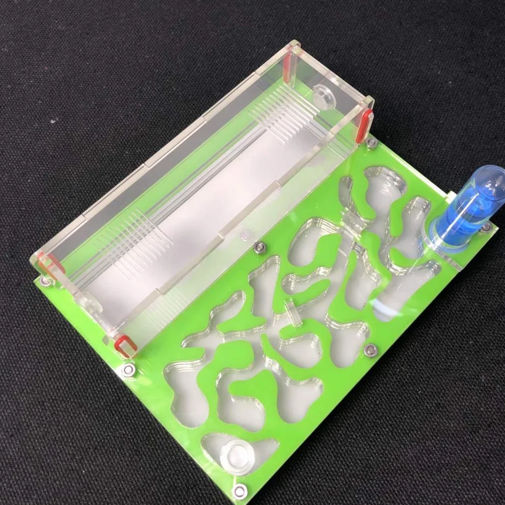 Formicarium Naturelle pour Ferme à Fourmis pour Tube à essai de Fourmis Live Humidité Grand Espace Nid de Fourmis en Acrylique, Fourmilière Insectes (Vert)