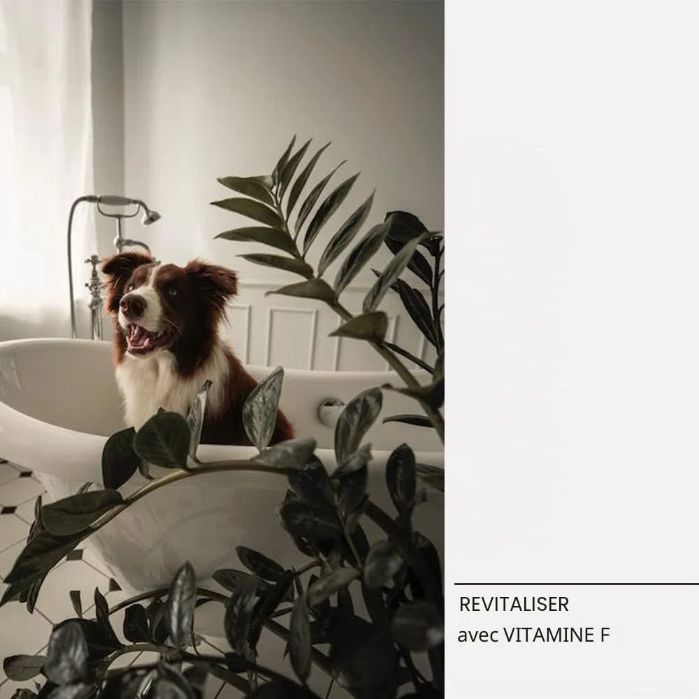 Caviar Mix Nutritive Lotion - Spray pour chiens et chats - 100 ml - Aide à maintenir une bonne humidité - Article d'hygiène pour chiens - Fabriqué avec des extraits naturels