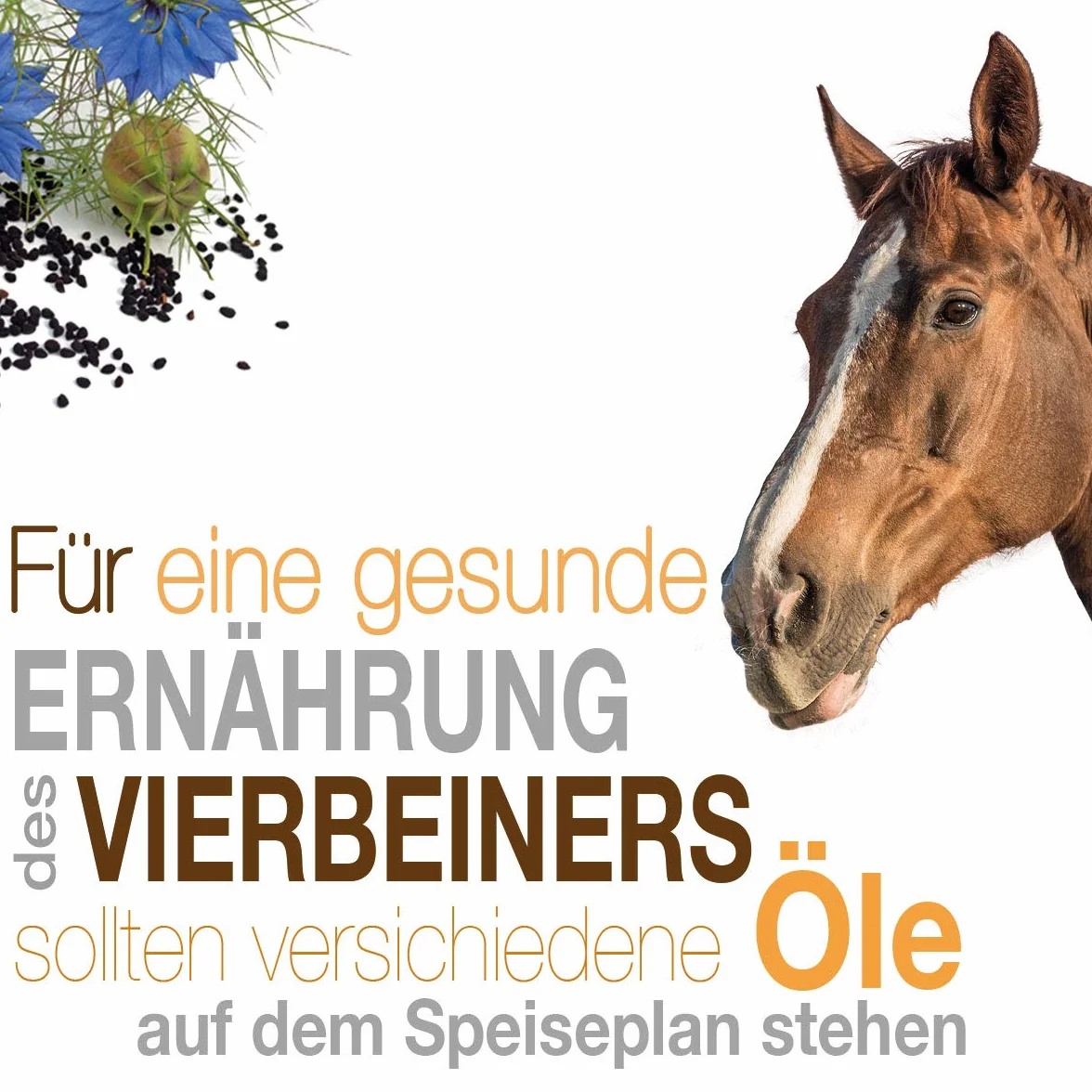 Naturzade Huile de nigelle - Matière première pour alimentation de cheval/chien - Flacon doseur 1 l