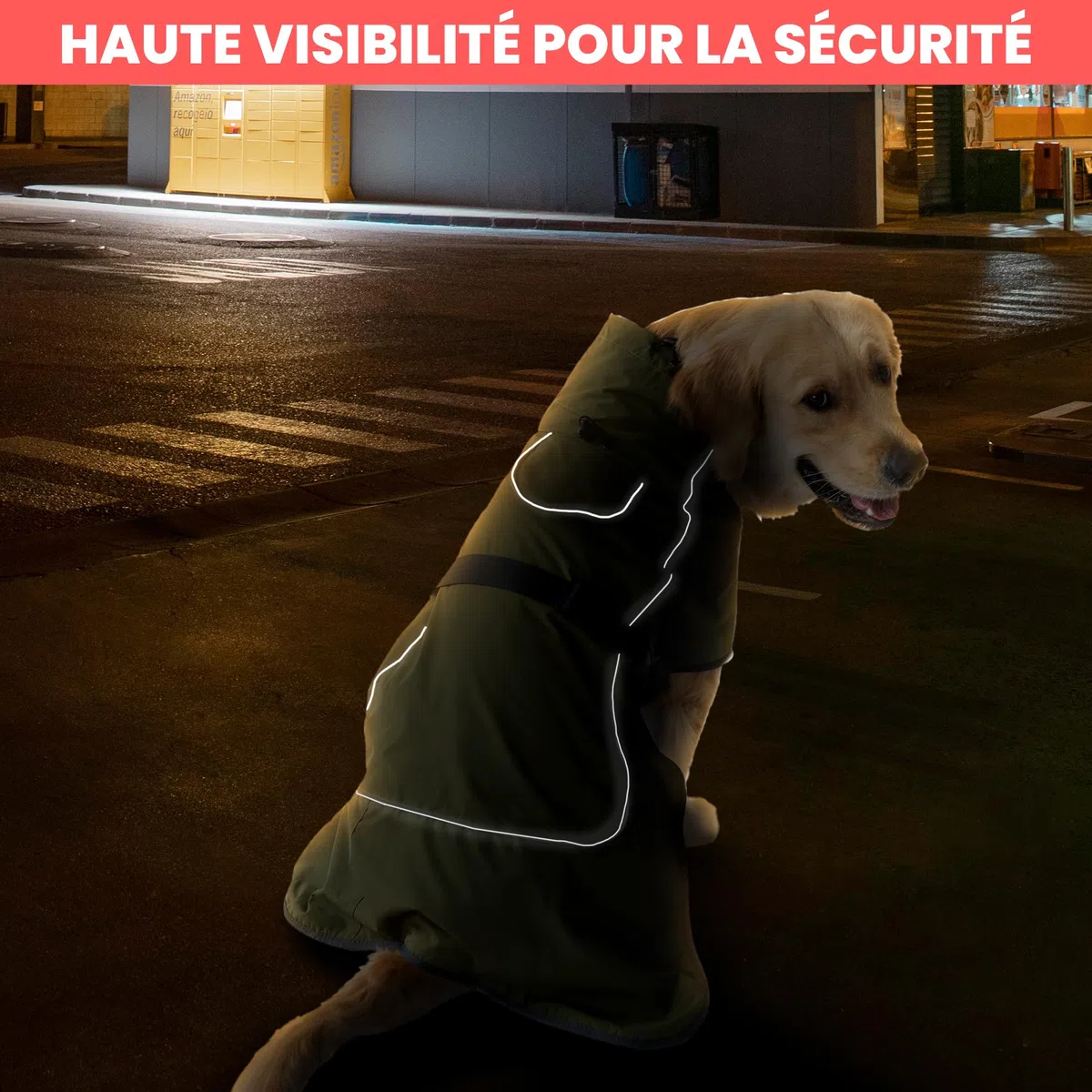 DOGOPAL Manteau Chien Imperméable et Coupe-Vent, Doublure Polaire Chaude, Manteau d’Hiver Réfléchissant Respirant, Grande Taille et Petit, Parfait pour Temps Froid (40)