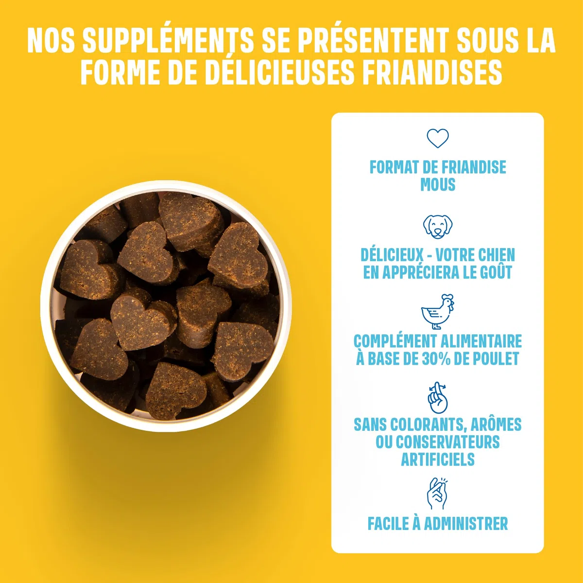 ivvi Multivitamines - Complément Alimentaire pour Chien - Soins Complets pour Une Vie de Chien Heureuse - 60 Délicieuses Friandises au Poulet (270g)