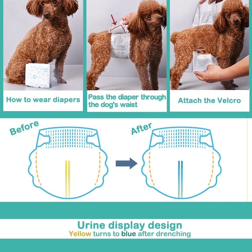BPS 16x Couche pour chiens en situation de santé | Couche pour chien | Couche jetable pour chien | Super absorbante | en 4 tailles (XL) BPS-2207x2