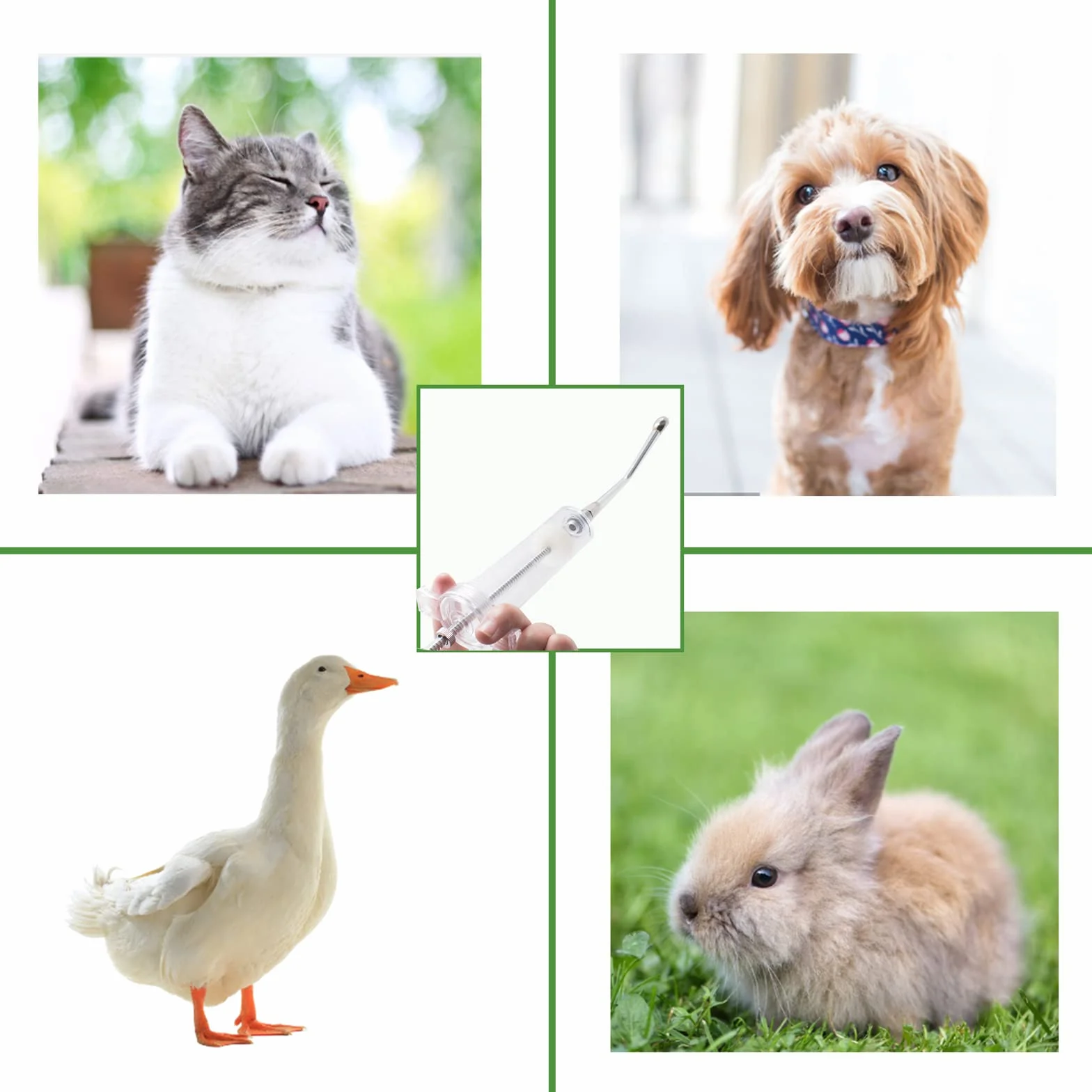 Cuyacili 50ml Seringue pour Animaux de Compagnie en Métal avec Tube Médecine Distributeur Pet Pill Dispenser Réutilisable pour Chat Chien Oiseau