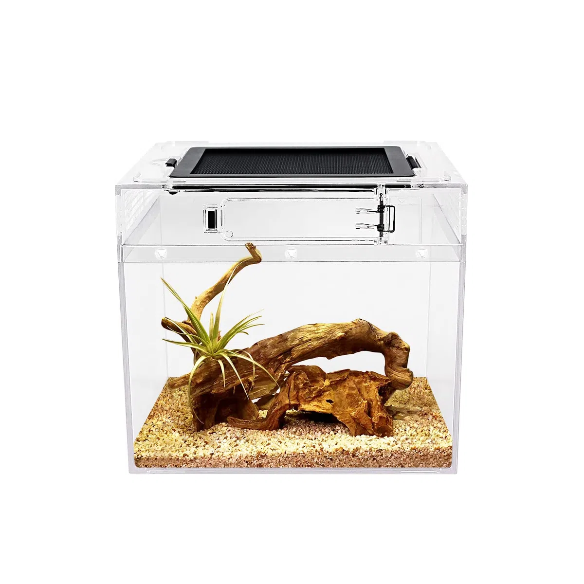 Reptile Growth PC Terrarium Reptile, 8" x 8"x 7" PC terrariums avec Vue complète visuellement Attrayante, Vivarium pour Léopard Gecko Barbu Dragon Lézard Escargot Tarentule Serpent Tortue