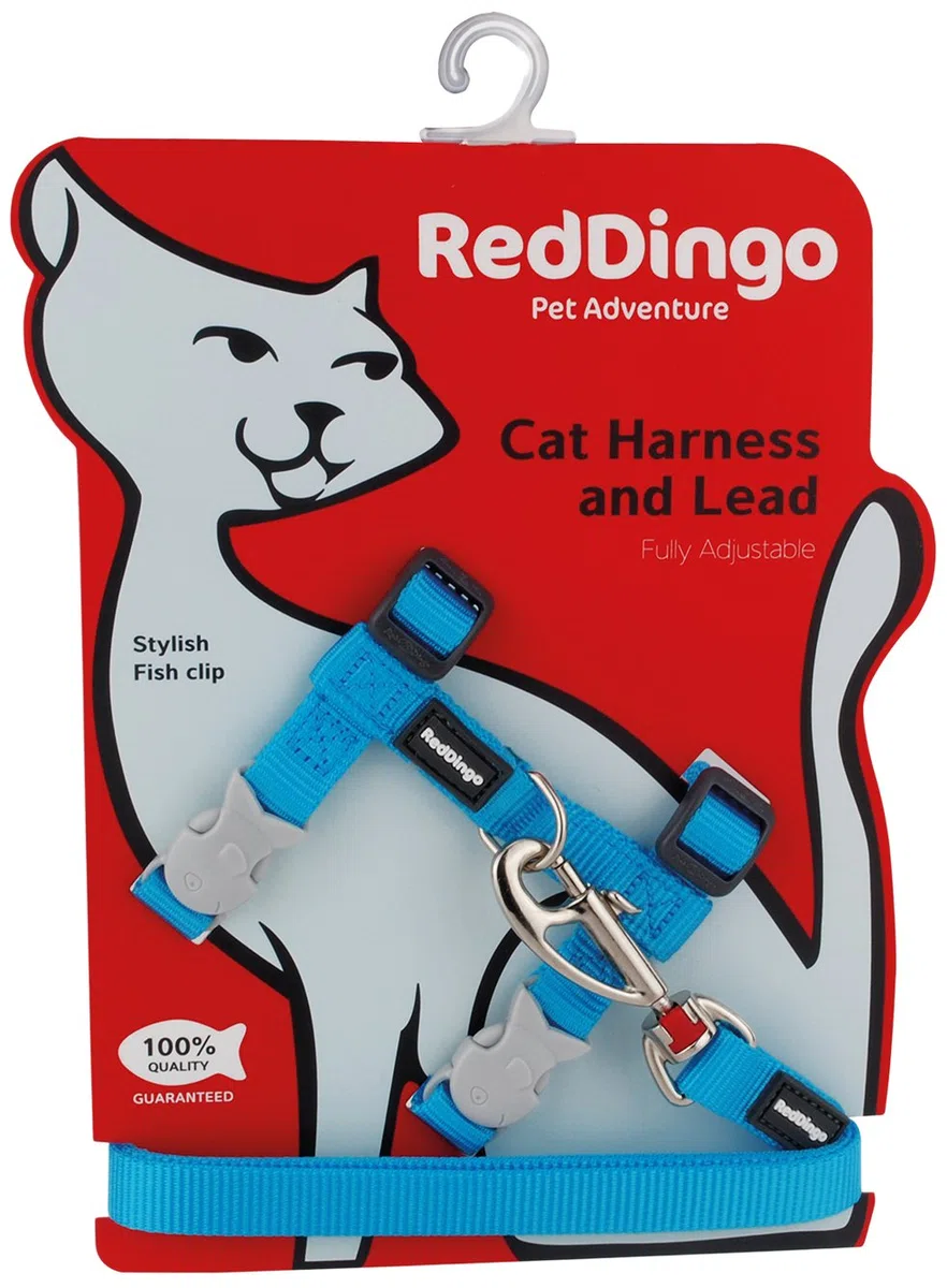 Red Dingo Laisse/Harnais pour Chat Turquoise