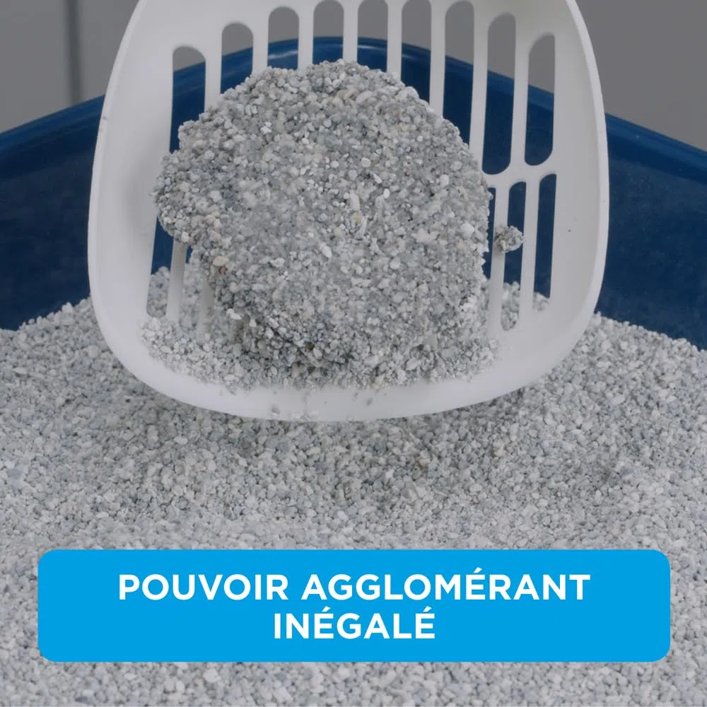 Ever Clean Litière agglutinante pour chats, pour plusieurs chats, parfumée pour une fraîcheur durable, 10 L