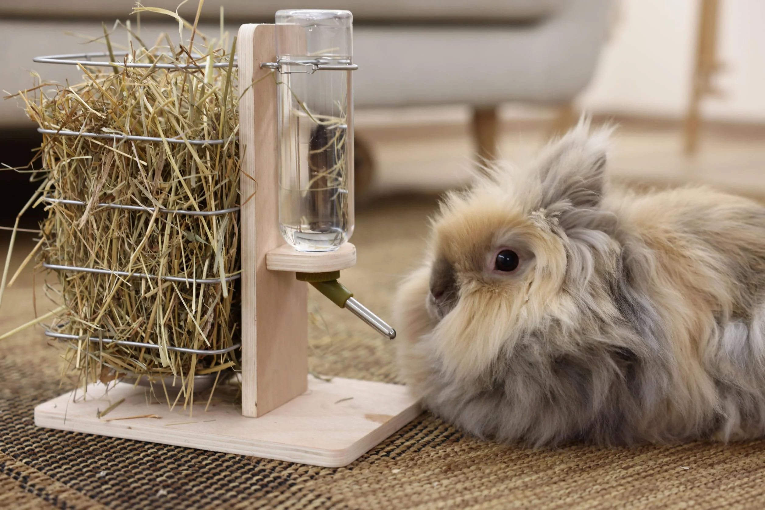 Kerbl Pet Station d'abreuvement et d'alimentation, 22,5x15,5x27cm, Bois Naturel, pour rongeurs, intérieur et extérieur