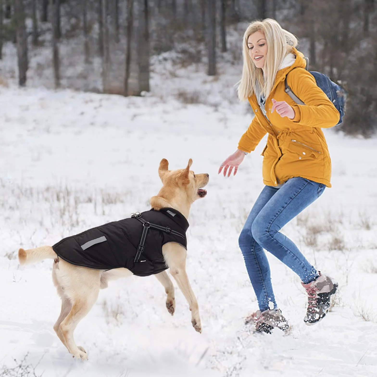 Manteau Chien avec Harnais Intégré, Manteaux d'hiver pour Chien Chaud en Polaire Impermeable, Veste Hiver avec Réfléchissante pour Petits, Moyens et Grands Chiens