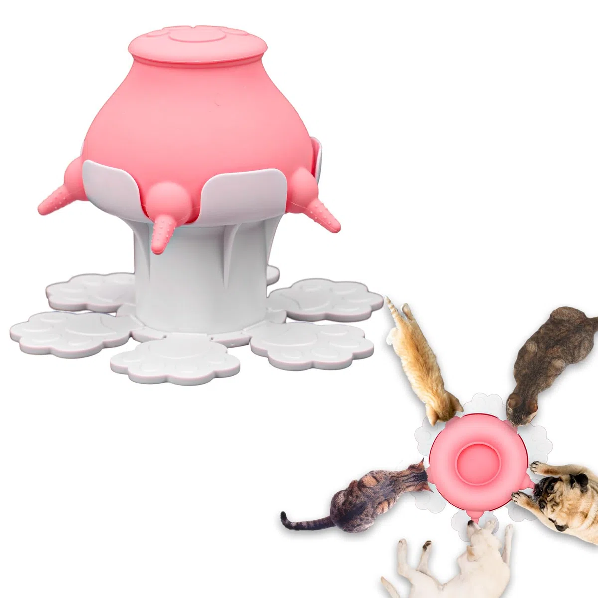 NQEUEPN Mangeoires pour Chiots pour Chiots Multiples, Mangeoire pour Chiot en Silicone à Hauteur Réglable de 300ml avec 5 Tétines pour Chaton Chiot Nouveau-né