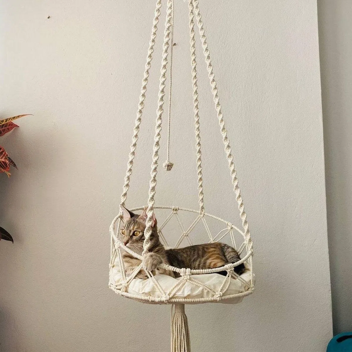 Hamac en Macramé pour Chat - Lit Suspendu Balançoire avec Crochet pour Détente - Fixation Murale