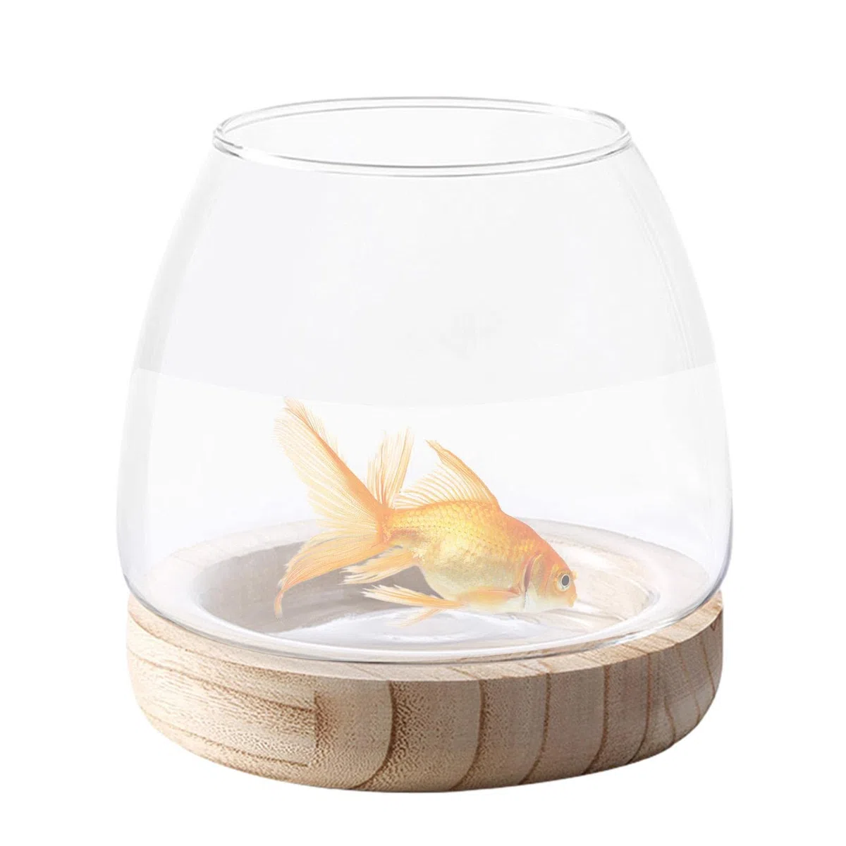 Bocal à Poissons en Verre avec Base en Bois, Petit Aquarium pour Poissons Betta Rouges, Vase en Verre pour Pla-nte Hydroponique, Vase à Fleurs pour Décoration de Bureau Maison