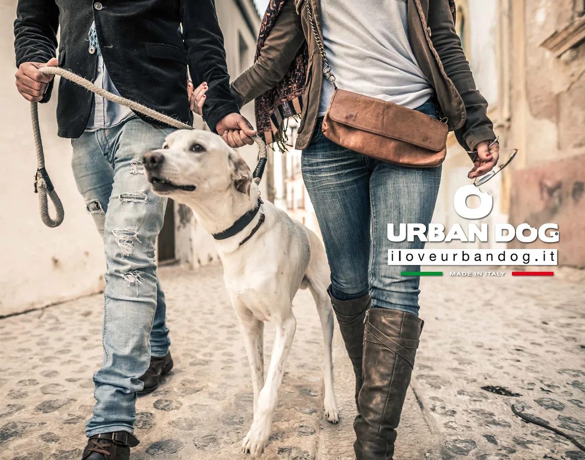 Urban Dog │ Silky Brush 200 ML │ Spray démêlant Multifonctionnel pour Chiens