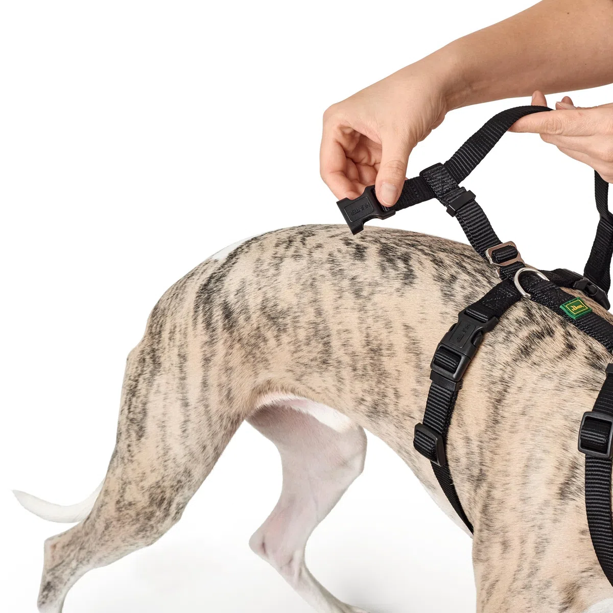Hunter modèle Vario Rapid Harnais de sécurité Anti-Panique pour Chiens anxieux. en Nylon Souple et résistant aux déchirures