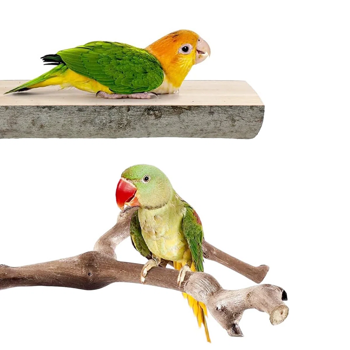 Lot de 6 perchoirs à oiseaux en bois naturel debout et suspendu, corde inclus, accessoires de cage pour petites perruches, calopsittes, conures