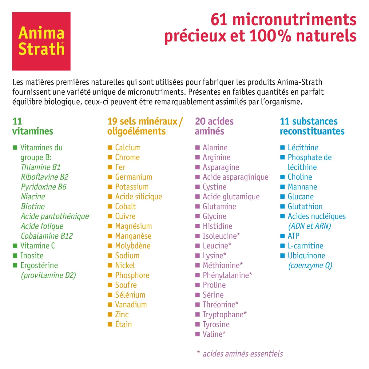 Anima Strath Complément Alimentaire pour Chiens - (80 Comprimés) 61 Nutriments, Vitamines, Minéraux, Acides Aminés, Complément Naturel pour Le Système Immunitaire et la Digestion.