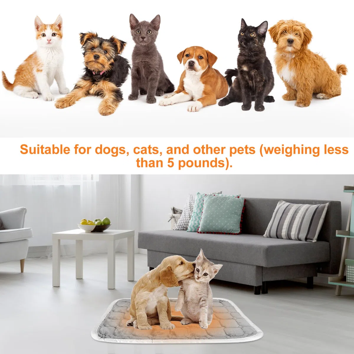 Couverture Auto-Chauffante pour Chats et Chiens - Tapis Chauffant pour Animaux de Compagnie, 59 x 44 cm, Taille M - Couverture Thermique Lavable pour Chiots - Tapis pour l'Hiver
