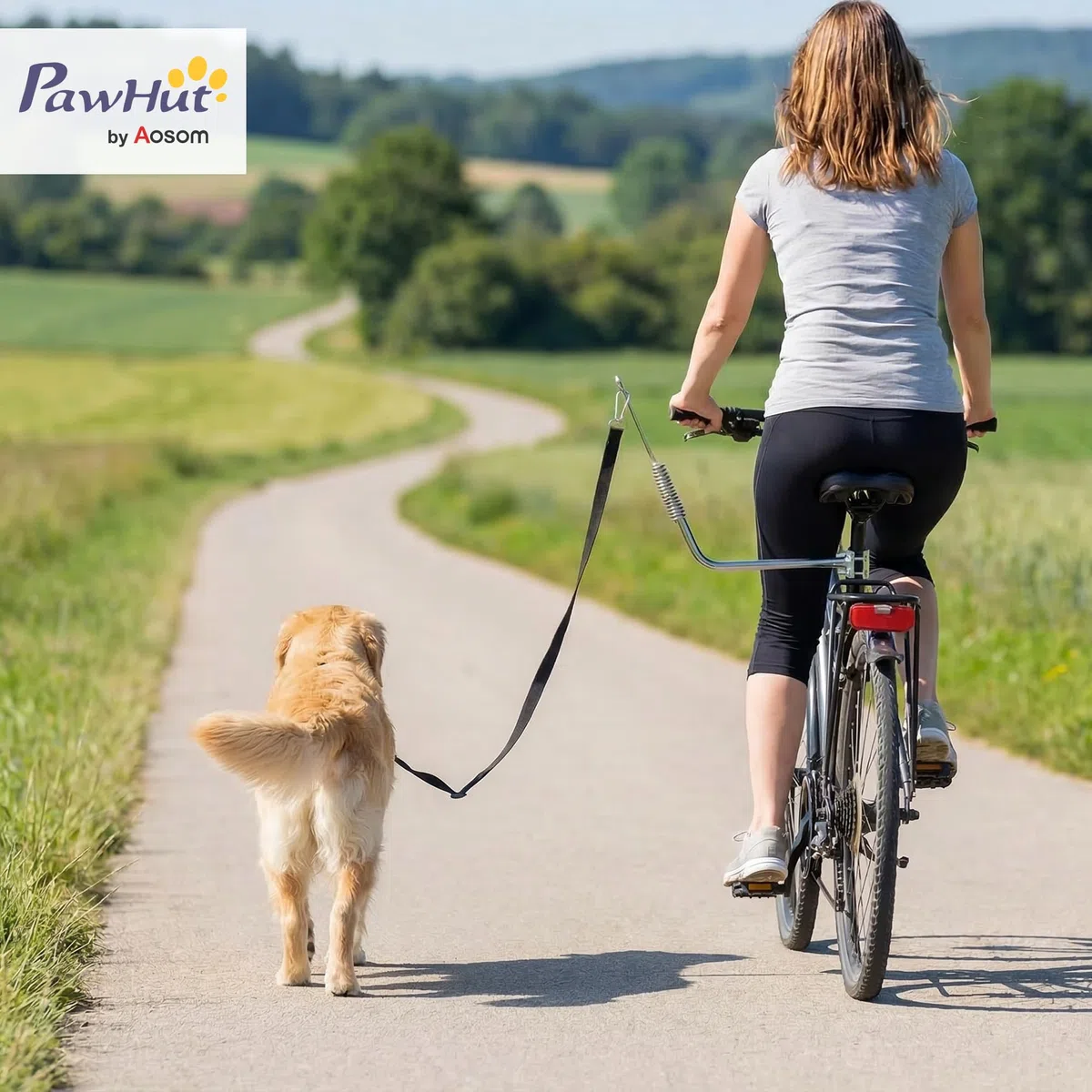 PawHut Laisse de Vélo pour Chien 180 cm en INOX, Fixation Rapide, Ressort Amortisseur, Sangle Ajustable, Vélo pour Chien Mains Libres, Laisse d'exercice pour Entraînement Jogging Cyclisme, Argent