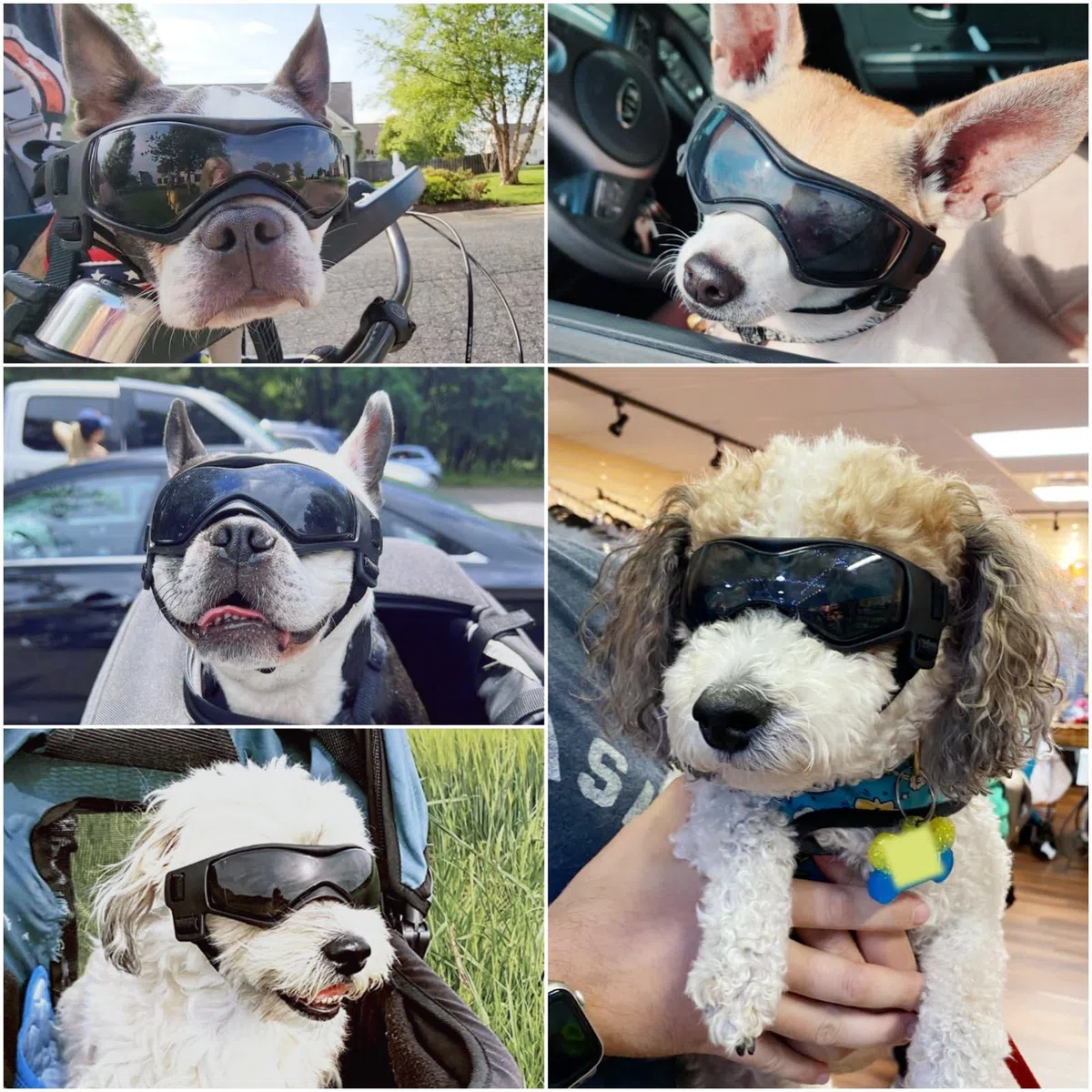 NAMSAN Lunettes de Protection réglables pour Chiens de Petite et Moyenne Taille, Anti-UV, Anti-Reflets, pour Chiens de Petite et Moyenne Taille, Noir