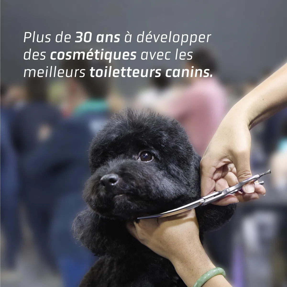 Démêlant-conditionneur Matt-X d'Artero pour Chiens et Chats.