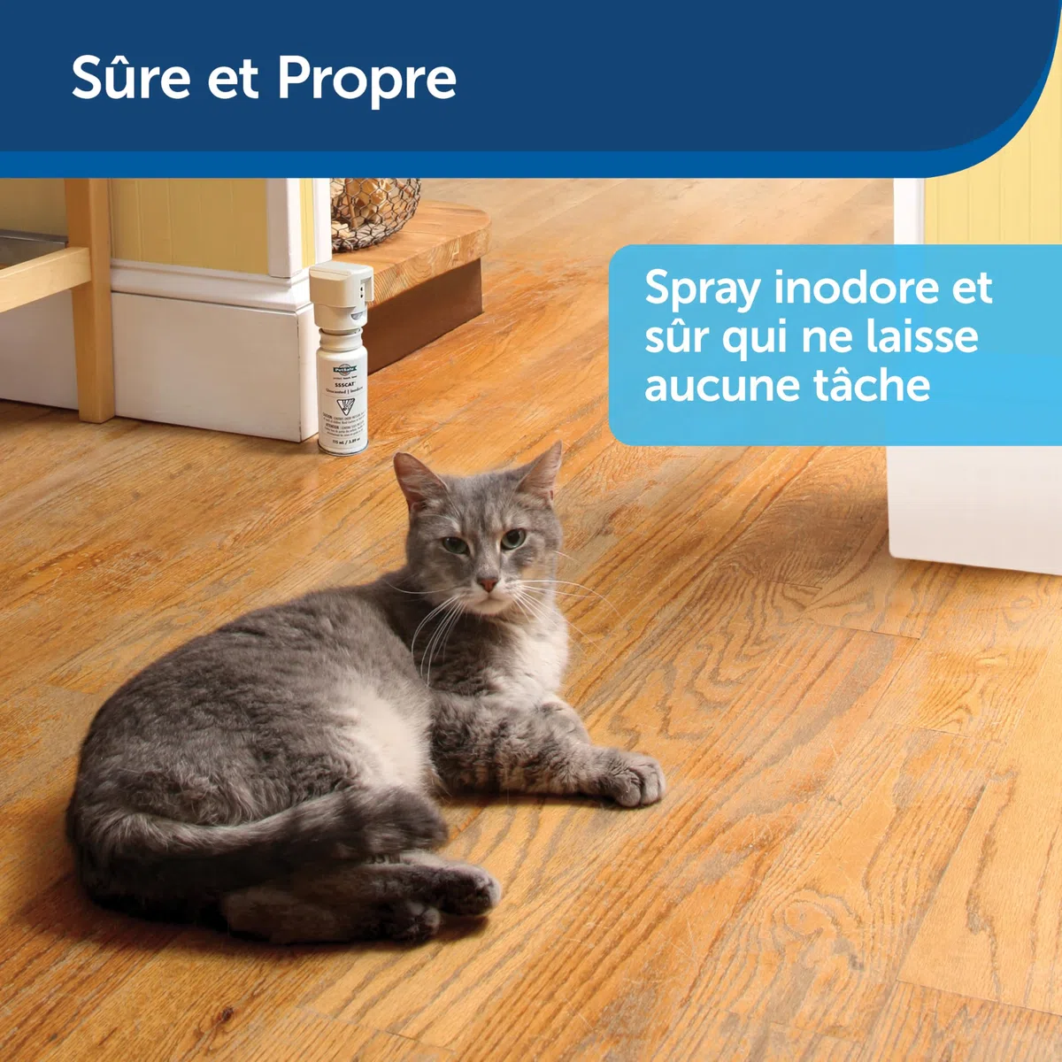 Petsafe Recharge gaz repulsif Chat et Chien