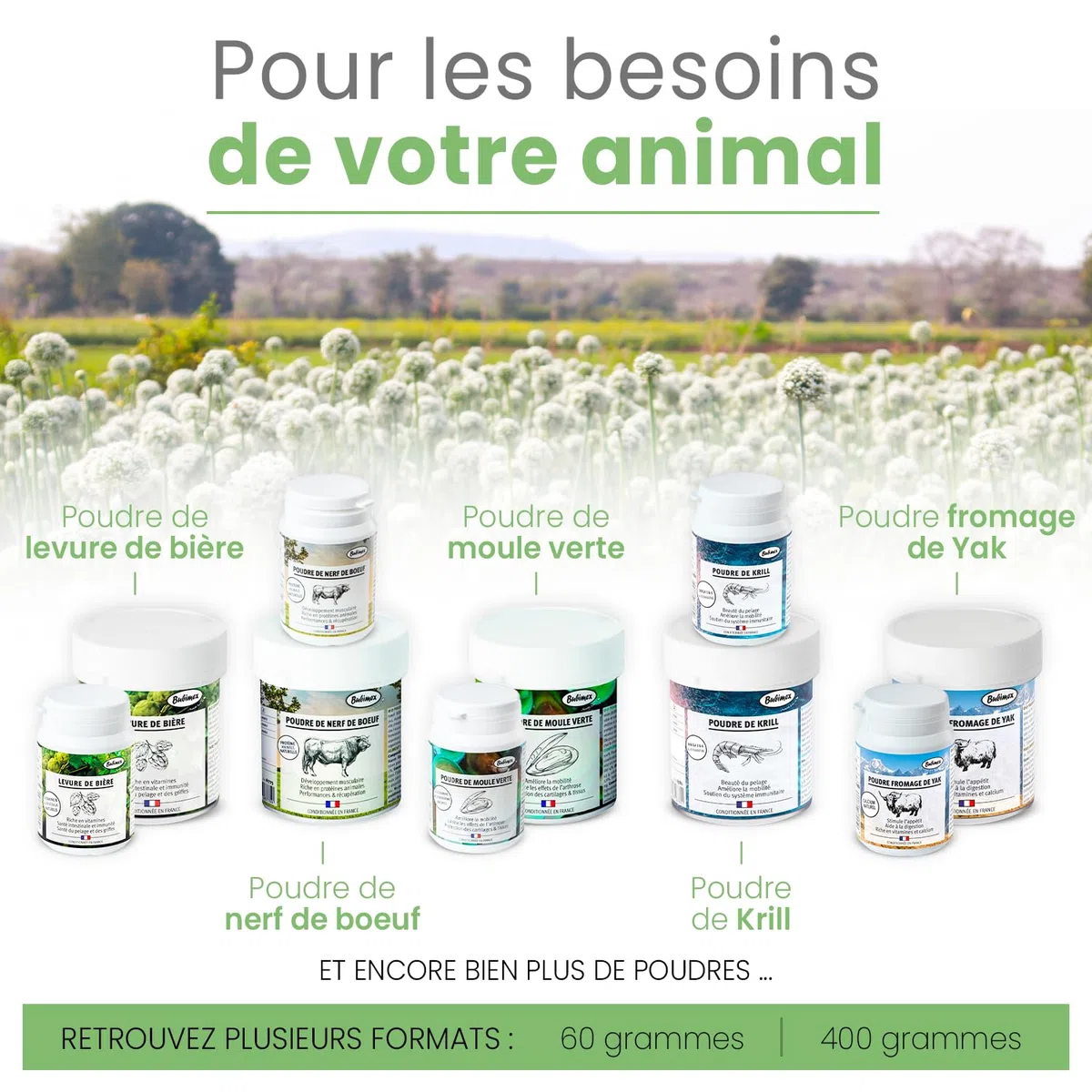 Bubimex - Poudre de Krill - Complément Alimentaire 100% Naturel pour Chiens et Chats - Riche en Oméga 3 et 6 - Astaxantine - Beauté du Pelage, Mobilité et Système Immunitaire - 400g