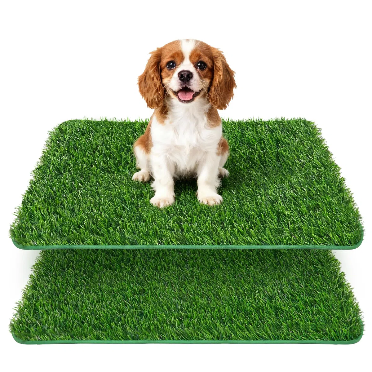 Lot de 2 toilettes pour chien pour la maison - 58,5 x 46 cm - Gazon artificiel - Toilettes pour chien - Maison de toilette pour chien - Toilettes de rechange - Pour appartement, balcon, litière