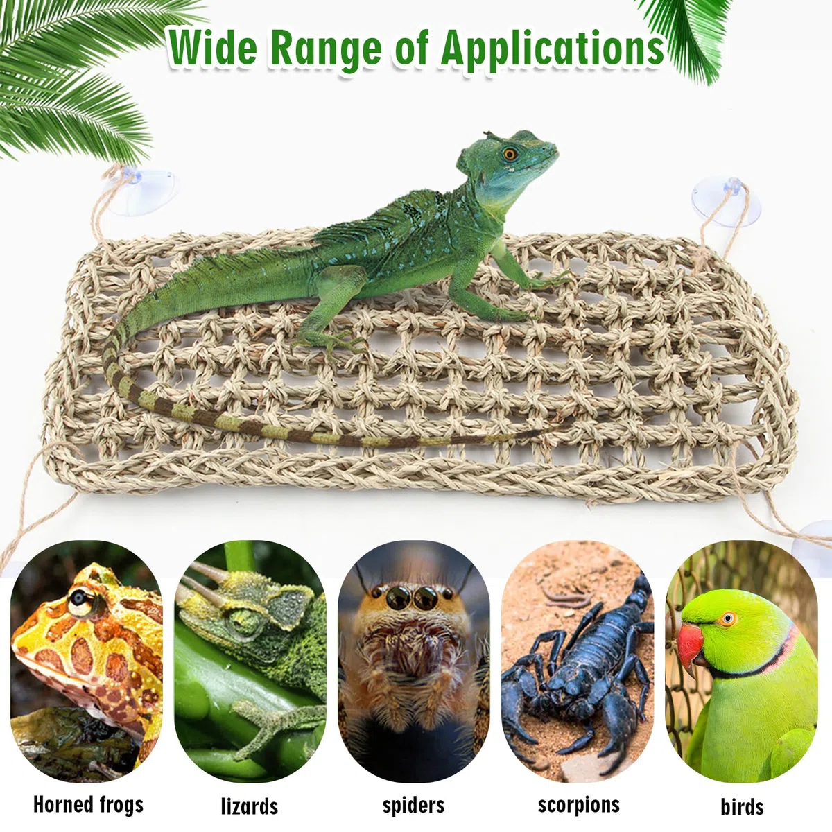 Hamac gecko avec réservoir de reptiles à suspendre pour terrarium - Feuilles artificielles pour lézards caméléons