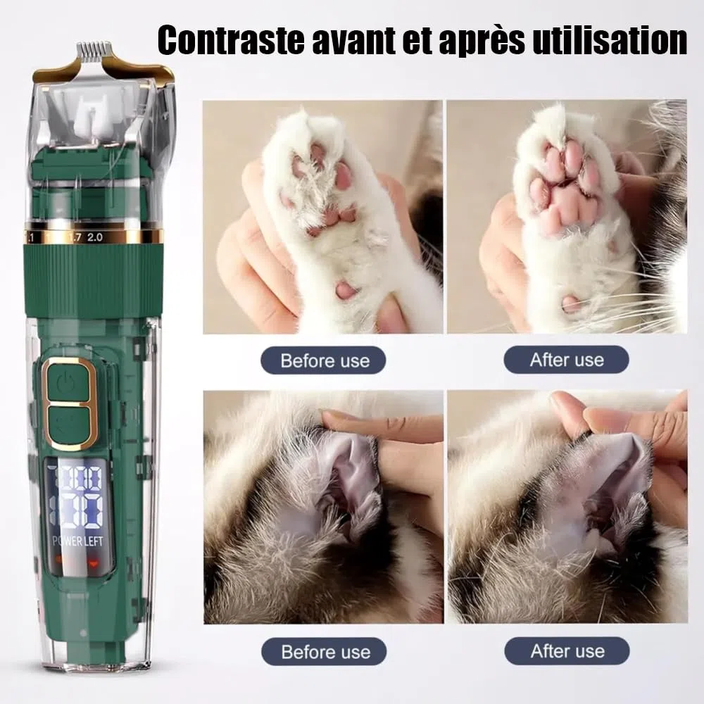 Tondeuse Professionnelle pour Chien et Chat, avec Écran LED, 4 Peignes de Limite, 3 Vitesses, Étanche IPX7 - pour Poils Longs et Noeud (Vert)