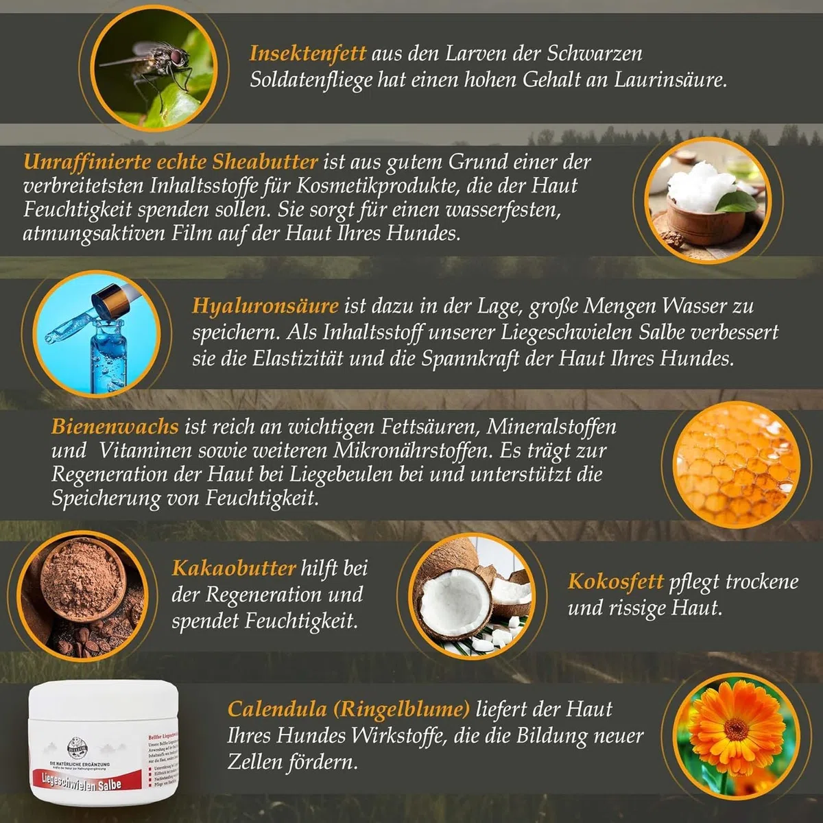 Bellfor Crème pour Les callosités chez Les Chiens - Crème pour Chien pour Peau sèche, callosités sur Les Coudes et Les Coussinets, avec Graisse d'insecte. Antibactérienne, Anti-inflammatoire - 30 ML