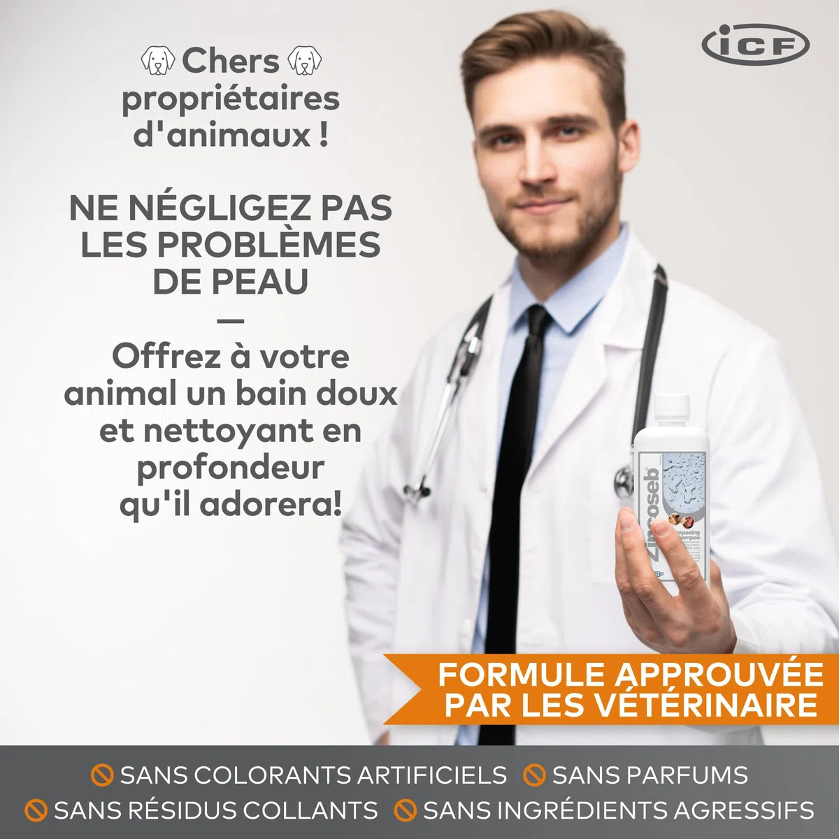 Zincoseb Shampooing | Shampoing Sébo-Régulateur et Hydratant pour Chien et Chat | Poil Sec, Terne ou Gras, Pellicules, Mauvaises Odeurs | Idéal pour la Peau Sensible du Chiot et Chaton | 250 ML